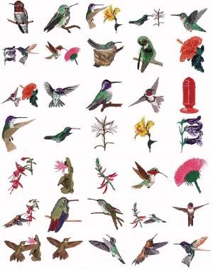 Cactus Punch BRD01 Bird Volume 1 Hummingbirds Embroidery CD