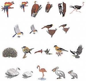 Elna 116 Bird Embroidery Card