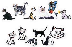 Elna MC16 Cat Envision Embroidery Card