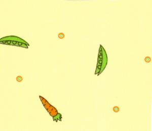 Fabric Finders 15 Yd Bolt 9.34 A Yd #333 Pique 100% Pima Cotton Fabric Yellow Material With A Carrot 60"