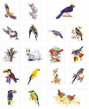 Pfaff No. 45 Birds Embroidery Card