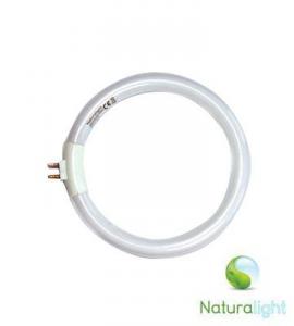 Daylight UN0004 Naturalight: 12W Circular Fluorescent Tube for Daylight UN1040nohtin Daylight UN0004 Naturalight: 12W Circular Fluorescent Tube for Daylight UN1040nohtin