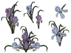 Balboa Threadworks 66J Iris Floral Collection 1 4x4 Embroidery Disks