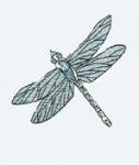 OESD 11775 Dragonflies I CD