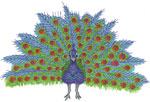 Amazing Designs ADC5029  Jumbo Peacock Multi-Formatted CD