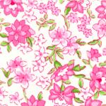 Fabric Finders 15Yd Bolt 10.00 A Yd 784 White With Pink Floral Pique100% Pima Cotton Fabric 60 inch