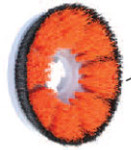 Oreck MS2448-OC Scrubber Accessory MS1039SG Aggressive Duty Brush with Splash Guardnohtin Oreck MS2448-OC Scrubber Accessory MS1039SG Aggressive Duty Brush with Splash Guardnohtin