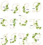 Amazing Designs 1257 Vine Alphabet I Embroidery Disk