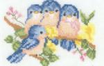 Sudberry D3800  Bluebirds & Hummingbirds CD
