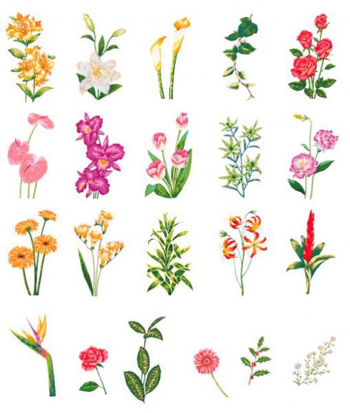 Embroidery Memory Design Cards - Embroidery Machines - Brother