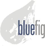 Bluefig Logo