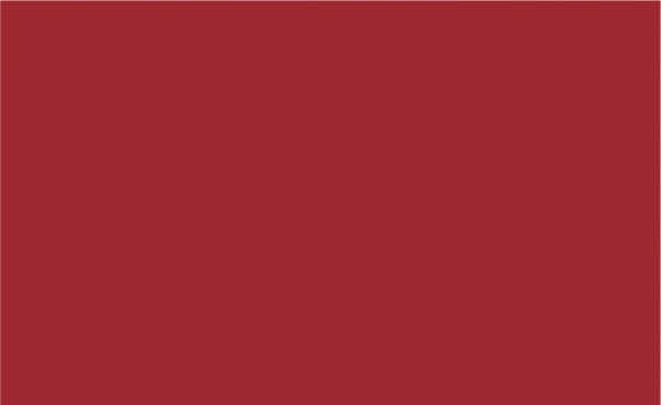 Siser PEPSV125005Y Easy PSV Permanent Vinyl Holly Berry