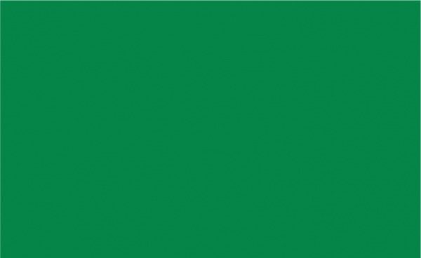 91735: Siser PEPSV125007Y Easy PSV Permanent Vinyl Emerald