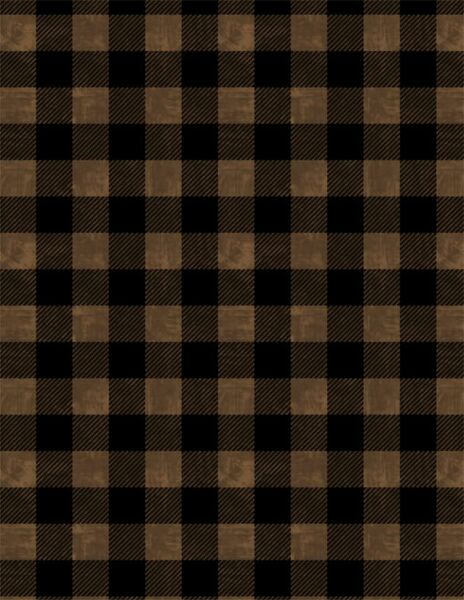 Wilmington Prints Lake Adventure 3015 90518 292 Buffalo Plaid Brown