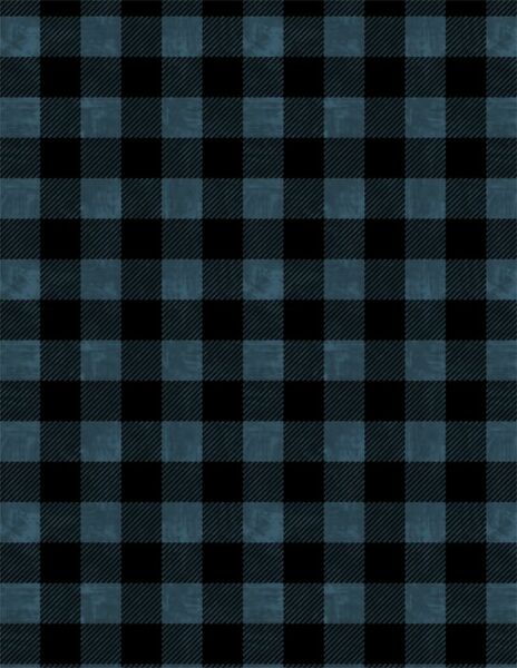 Wilmington Prints Lake Adventure 3015 90518 494 Buffalo Plaid Blue