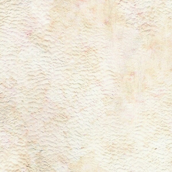 Robert Kaufman Earth Views AKWD-21151-155 STONE