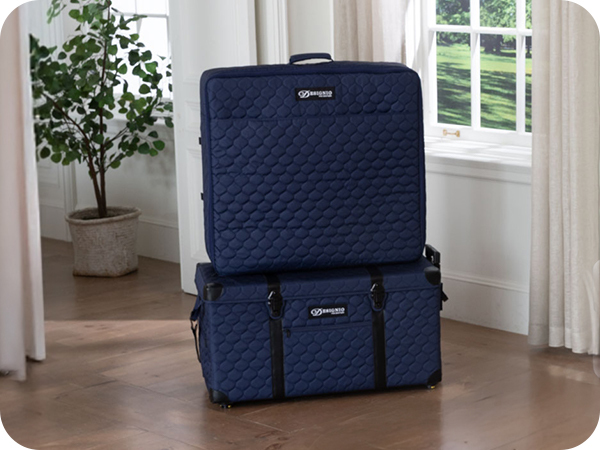 Brother SASEBCX1 Brother Celeste CX1 CX1e Luggage Set at AllBrands.com