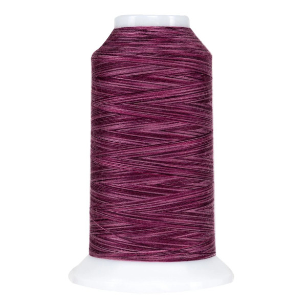 Superior Threads 14502-9072 Omni Variegated Polyester Thread 40wt 2000yd Bumbleberry