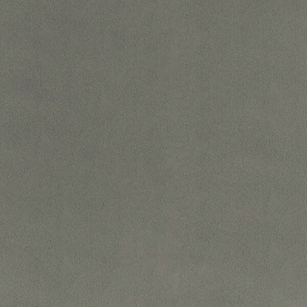 Shannon Fabrics Inc. C390 Charcoal 3 Yard Wide Cuddle Cut