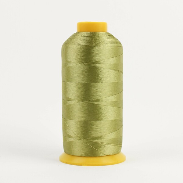 Wonderfil Threads R5-4101 Splendor 40wt 2ply Rayon 4572m Light Pistachio
