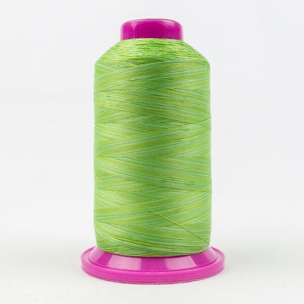 Wonderfil Threads TUL-29 Tutti Variegated 50wt Cotton Thread 2286m Grass