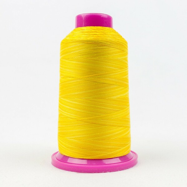 Wonderfil Threads TUL-01 Tutti Variegated 50wt Cotton Thread 2286m Sunny