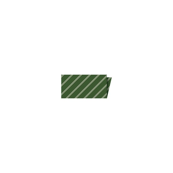 Riley Blake Designs Riley Blake Designs Single-Fold Quilt Binding Ticking Forest