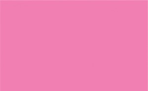 Siser PEPSV125079Y Easy PSV Permanent Vinyl Carnation Pink