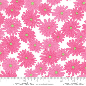 Moda 22380 24 Fiddle Dee Dee White Pink - Bursting Out