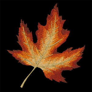 OESD 80309CD Autumn Splendor by Jackie Robinson