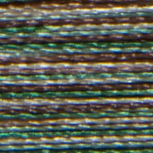 Isacord Variegated Multicolor Embroidery Thread 9982 Pine Forest  2579-9982 Polyester 1000m Spool