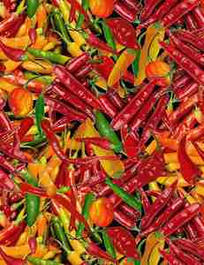 Timeless Treasures West-C7355 Multi PACKED HOT PEPPERS