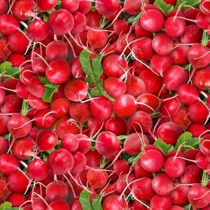 EE Schenck Food Festival ELS633-RED Radishes Red