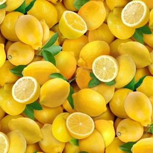 EE Schenck Food Festival ELS483-YEL Lemon Yellow