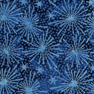 EE Schenck ISB112140566	Constellations - burst on dk blue