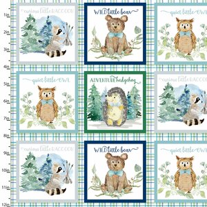 3 Wishes Forest Friends Boy 18681-MLT Multi