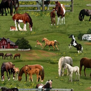 EE Schenck Farm Animals ELS339-GRE HORSES
