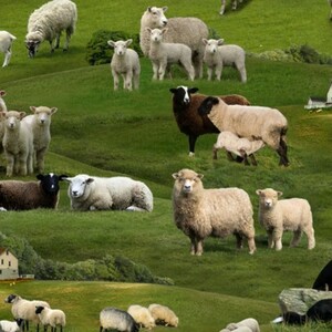 EE Schenck Farm Animals ELS360-GRE SHEEP