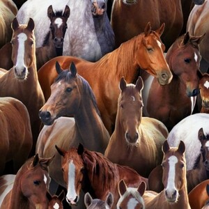 EE Schenck Farm Animals ELS433-BLA	 Horses