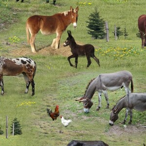 EE Schenck Farm Animals ELS506-GRE MULES