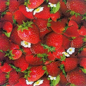 EE Schenck Berry Good ELS155-RED Strawberries