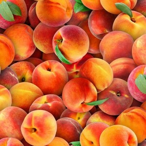 EE Schenck Food Festival ELS578-MUL	Peaches