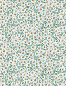 Wilmington Prints Savor the Gnoment  3023 39722 415 Daisy A/O Teal