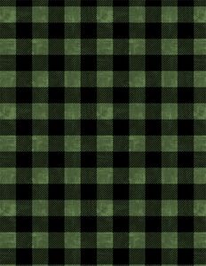 Wilmington Prints Lake Adventure 3015 90518 797 Buffalo Plaid Green