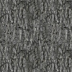 EE Schenck Spirit Animals PNBSANI-4757-S Tree Texture