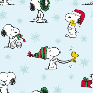 EE Schenck Peanuts SPR77342-A620715 Peanuts Christmas Snoopy and Woodstock