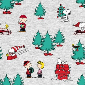 EE Schenck Peanuts SPR77341-A620715 Peanuts Christmas Snow