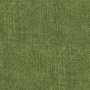 EE Schenck BURLAP PRINT BEN0075741B - BRIGHT - DARK GREEN