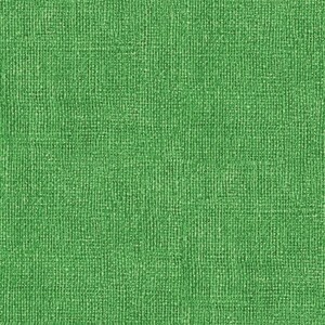 EE Schenck BURLAP PRINT BEN0075743B - BRIGHT -  Bright Green