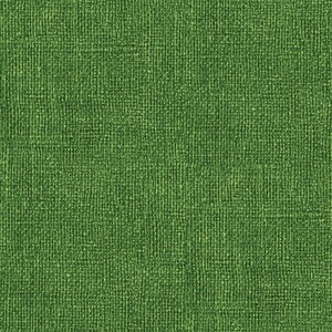 EE Schenck BURLAP PRINT BEN0075745B - BRIGHT -  Emerald